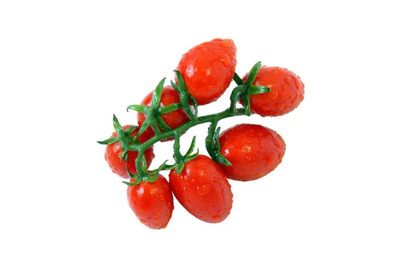 Pobočka zralé cherry rajčátky — Stock fotografie