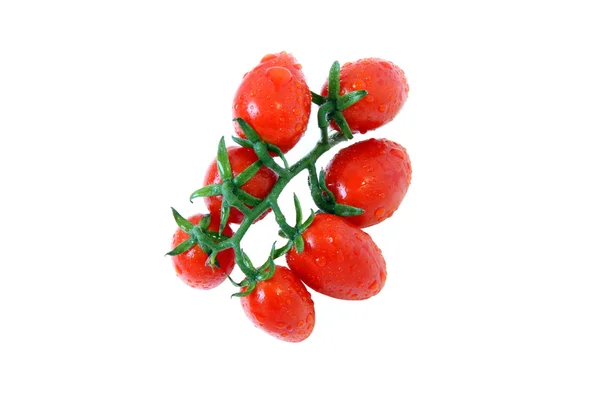 A branch of fresh ripe Cherry Tomatoes — Stock Photo, Image