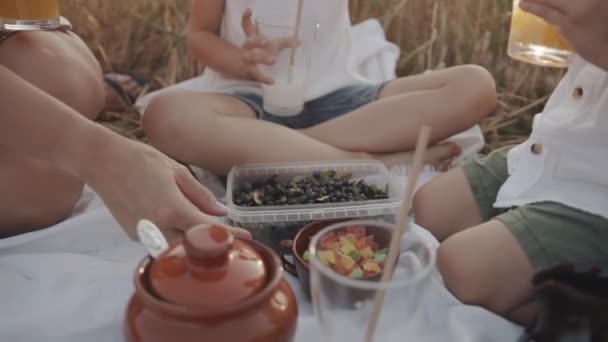 Närbild barn och mamma med drycker i händerna sitta runt mat och en låda bär på en filt under en picknick. Långsamma rörelser — Stockvideo