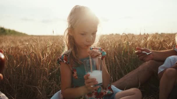 Seorang gadis cantik prasekolah minum susu melalui sedotan dan berbicara dengan keluarganya di piknik di ladang gandum. Gerakan lambat — Stok Video