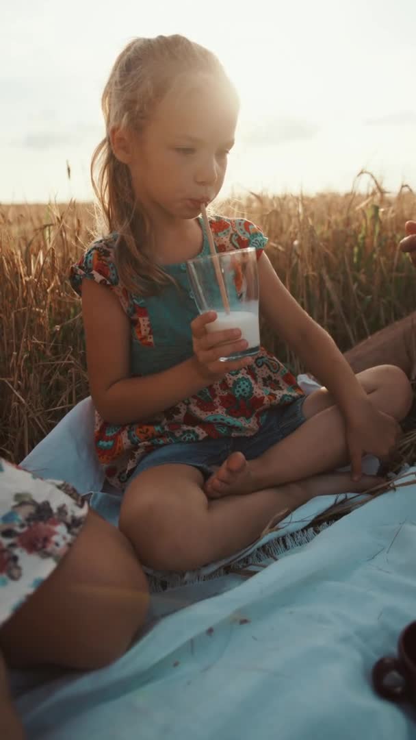 Egy aranyos óvodás lány keresztbe tett lábbal ül és szalmán keresztül iszik tejet egy családi pikniken a búzaföldön. Függőleges videó. Lassú mozgás. — Stock videók