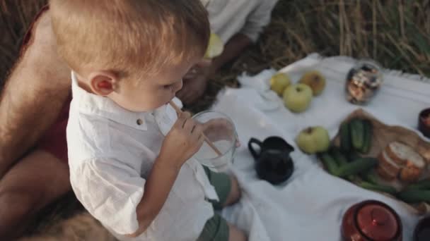 A little boy drinks milk from a glass through a straw while sitting in a family circle at a picnic in a wheat field. Slow motion — Stock Video