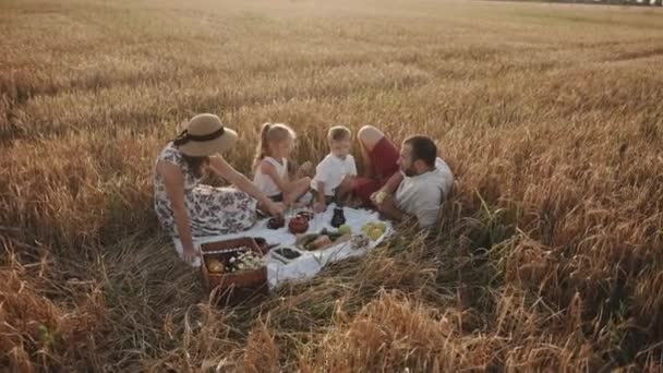 Мама в солом'яному капелюсі і батько в червоних шортах сидять зі своїми дітьми на сімейному пікніку на пшеничному полі. Повільний рух — стокове відео