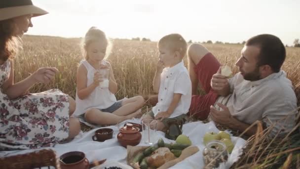 Мама з дочкою і сином їдять здорову їжу і п "ють молоко на сімейному пікніку на пшеничному полі. Повільний рух — стокове відео