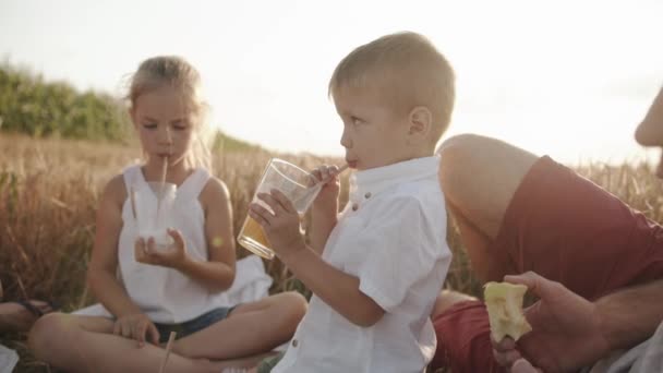 Una chica adorable y su hermano pequeño beben de vasos a través de una paja durante un picnic familiar en la naturaleza. Movimiento lento — Vídeos de Stock