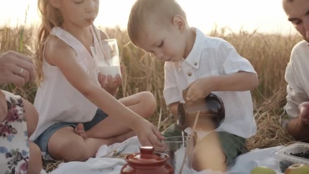 かわいい就学前の女の子は、弟が小麦畑の家族のピクニックで陶器のジャグからガラスに牛乳を注ぐのを助けます。スローモーション — ストック動画