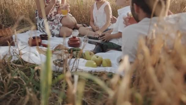 Una familia con niños en un picnic en un campo de trigo está descansando y disfrutando de una comida deliciosa y saludable. Movimiento lento — Vídeo de stock