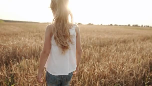 Uma menina pré-escolar encantadora em uma túnica branca e calções de ganga caminha através de um campo de trigo ao sol raios e se vira para a câmera. Movimento lento — Vídeo de Stock