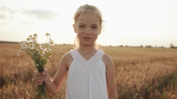 Portrét roztomilé holčičky s kyticí heřmánků v pšeničném poli na pozadí slunce. Zpomalený pohyb — Stock video