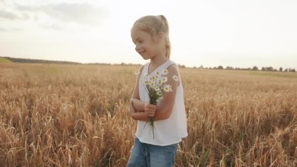 Seorang gadis kecil dengan buket chamomile berjalan di ladang gandum. Konsep kebebasan dan sukacita. Gerakan lambat — Stok Video