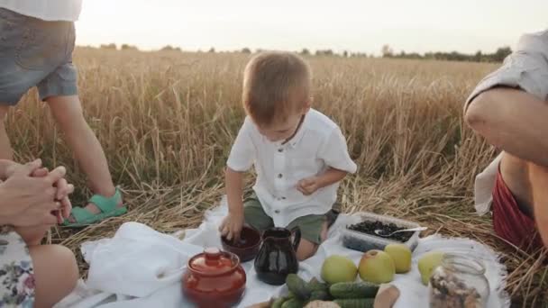 I genitori con la loro figlia e il loro piccolo figlio a un picnic in famiglia in un campo di grano socializzare e mangiare cibo delizioso. Rallentatore — Video Stock