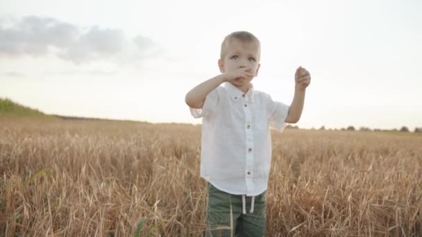 Un drôle de petit garçon en chemise blanche se tient dans un champ de blé sur le fond du soleil et se frotte le nez. Mouvement lent — Video