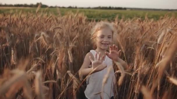 Uma menina bonito idade pré-escolar em uma túnica branca faz o seu caminho através de um campo de trigo empurrando as espiguetas separadas com as mãos. Movimento lento — Vídeo de Stock