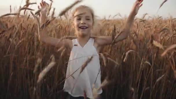 Seorang gadis kecil yang gembira dengan gigi depannya yang rontok berada di antara spikelet. Konsep kebebasan dan kebahagiaan. Gerakan lambat — Stok Video