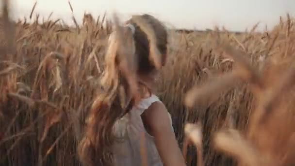 Uma menina pré-escolar com longos cabelos loiros atravessa um campo de trigo e espalha as espiguetas com as mãos. Vista traseira. Movimento lento — Vídeo de Stock