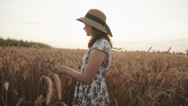 Une belle jeune fille dans un chapeau de paille se tient dans un champ de blé sur le fond du soleil et ramasse des épillets — Video