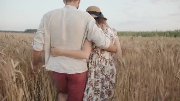 Un jeune couple marié se serre dans ses bras dans un champ de blé un jour d'été et parle. Vue arrière — Video