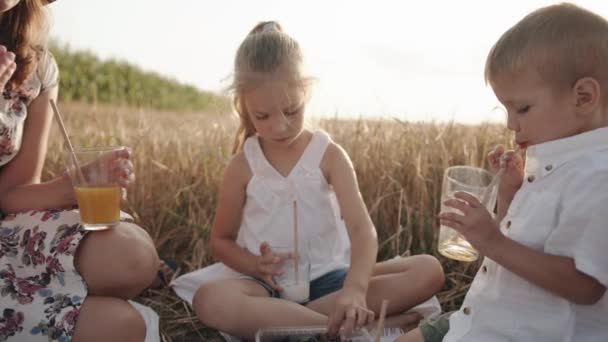 子供とお母さんは夏の日に小麦畑で家族のピクニックで飲み物を食べたり飲んだりします。スローモーション — ストック動画