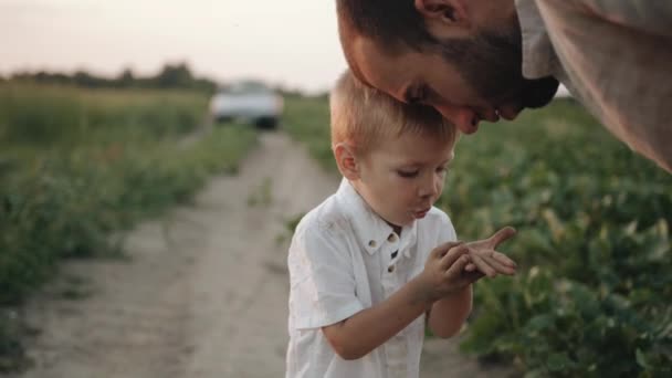 Le petit fils montre à son père quelque chose de la main de sa main debout sur la route parmi les champs à côté de la voiture. Mouvement lent — Video