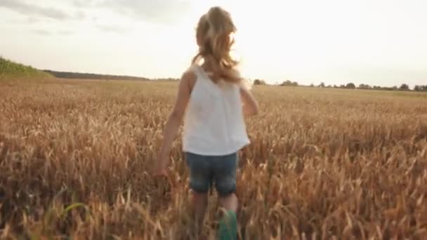 Una bambina che corre in un campo di grano verso il sole con un mazzo di margherite in mano. Vista posteriore. Rallentatore — Video Stock