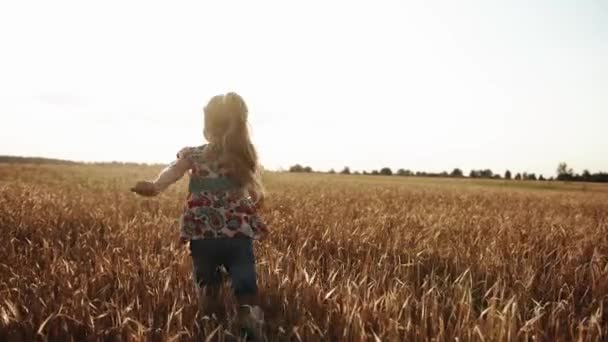 小さな女の子が手にデイジーの花束を持って太陽に向かって小麦畑を走っています。バックビュー。スローモーション — ストック動画