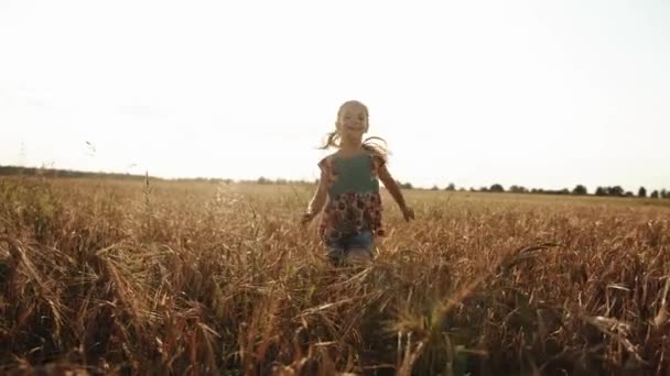小さな女の子が手にデイジーの花束を持って太陽に向かって小麦畑を走っています。バックビュー。スローモーション — ストック動画