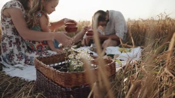 Närbild av en korg med glas med juice och en bukett kamomill vid en familjepicknick på ett vetefält. Långsamma rörelser — Stockvideo