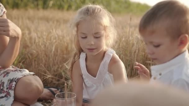 可愛い就学前の女の子は、小麦畑の家族ピクニックで弟の隣に座って、土のジャグから牛乳を注ぎます。スローモーション — ストック動画
