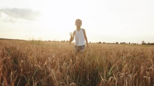 Uma menina loira com uma cauda na cabeça corre ao longo de um campo de trigo com um buquê de camomila no fundo do sol. Movimento lento — Vídeo de Stock