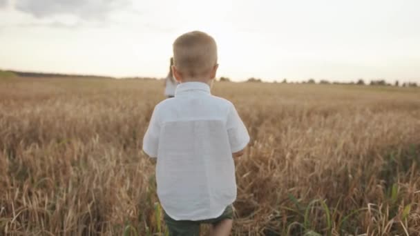 Malý chlapec v bílé košili vypadá zklamaně, když jeho sestra kráčí po pšeničném poli a tře si nos. Zpomalený pohyb — Stock video