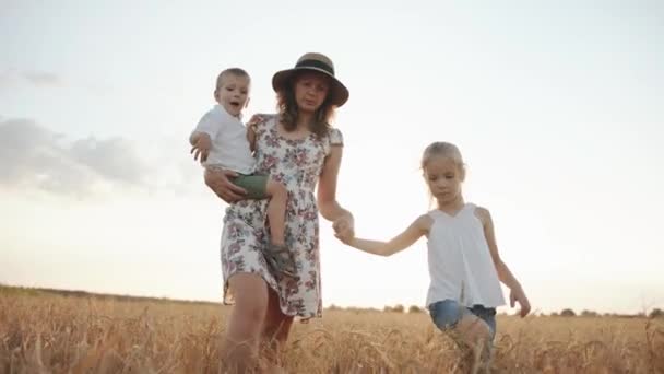 Una madre en un vestido de verano y sombrero con su hijo y su hija camina a través de un campo de trigo. Ángulo de disparo inferior. Movimiento lento — Vídeo de stock