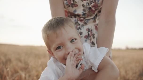Portret van een gelukkig jongetje in een wit shirt naast mama op een wandeling in een tarweveld. Langzame beweging — Stockvideo