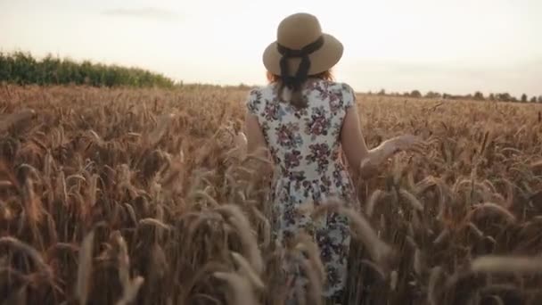 Une jeune fille avec un chapeau de paille traverse un champ de blé sous les rayons du soleil. Concept de vie privée et liberté. Au ralenti. Vue arrière — Video