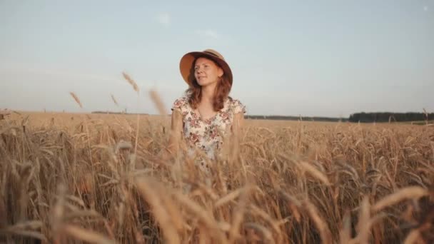 Une jeune femme tendre se tient dans un champ de blé et regarde vers le ciel en mettant votre main sur le chapeau. Le concept de liberté et de calme — Video