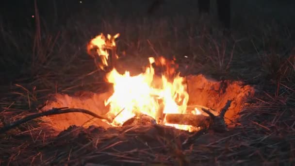 Tarladaki bir delikte parlak bir şenlik ateşi ve atılan odundan kıvılcımlar. — Stok video