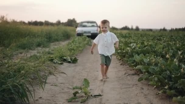 En bedårande liten pojke springer barfota längs en landsväg längs ett betfält och återvänder till bilen. Långsamma rörelser — Stockvideo