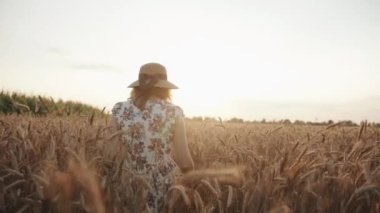 Hasır şapkalı genç bir kız güneş ışığında buğday tarlasından geçiyor. Mahremiyet ve özgürlük kavramı. Ağır çekim. Arka plan