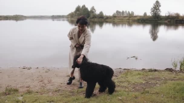 An elegant brunette with short hair goes along the sandy riverbank and leading a large black poodle on a leash. Slow motion — Stock Video
