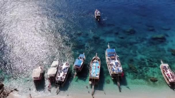 Αεροφωτογραφία μιας σειράς κρουαζιερόπλοιων με τουρίστες στα καθαρά γαλαζοπράσινα νερά της θάλασσας να λάμπουν στον ήλιο — Αρχείο Βίντεο