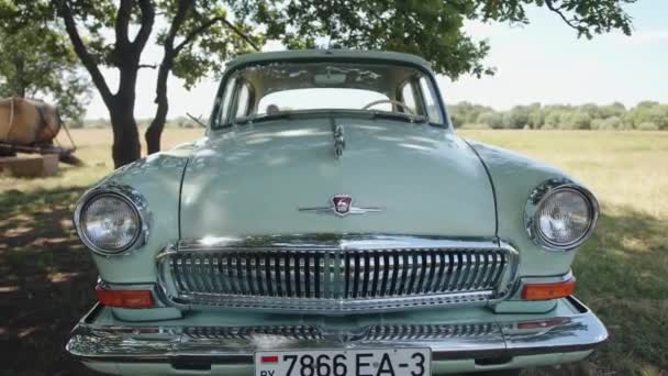 Wit Rusland. Gomel regio. 21 augustus 2021: Close-up van de voorkant van de zeldzame witte Wolga Gaz 21 met een badge en een hertenbeeldje op de motorkap van de auto — Stockvideo
