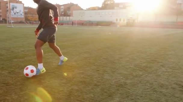 Стоковые Видео Финт ⬇ Скачать Футажи Финт | Depositphotos