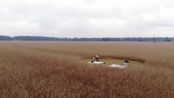 Strzelanie z drona show z taniec na płótno dla malarstwo w kółko na pole pszenica w styl awangardowy sztuka — Wideo stockowe