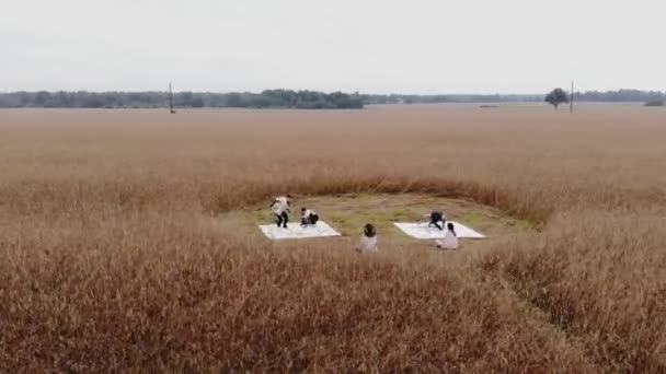 Pandangan atas sekelompok anak muda yang menggambar lukisan abstrak di kanvas yang tergeletak dalam lingkaran di ladang gandum — Stok Video