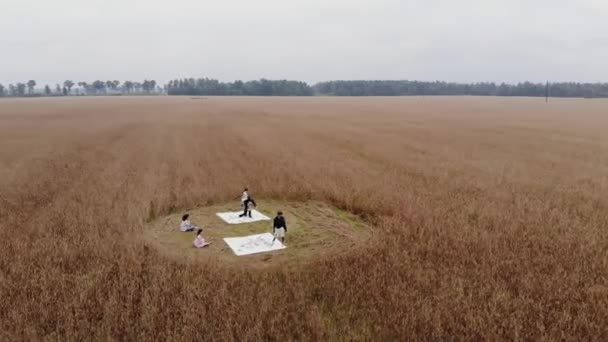 Shooting from drone of a group of young people participting in an alternative performance in nature and dancing on canvases for painting — Stok Video