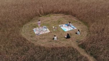 Bir grup gencin buğday tarlasında daireler çizmesi ve tuvallere soyut resimler çizmesi.