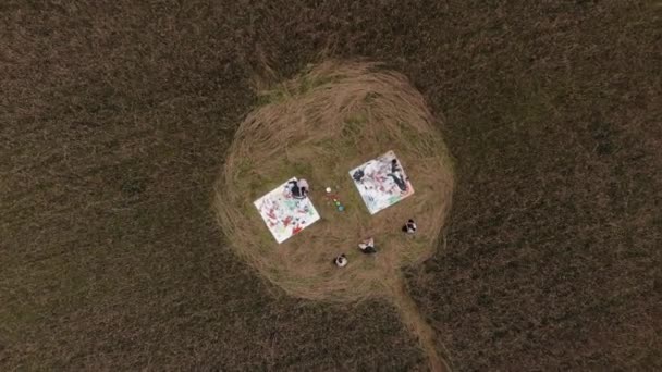 Widok puszek wielobarwnych farb i młodych artystek tworzących abstrakcyjne obrazy na płótnach leżących w kole na polu pszenicy — Wideo stockowe
