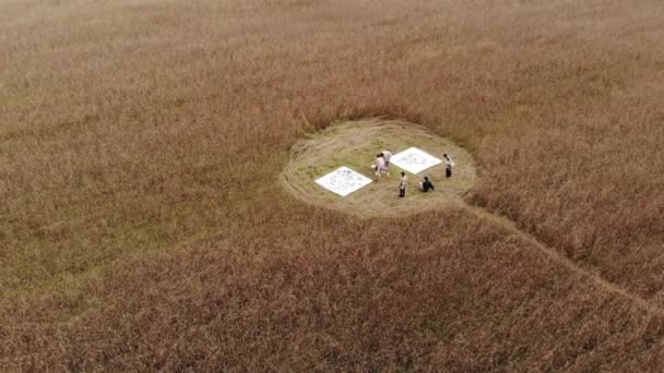 Shooting from drone of a group of young people participating in an alternative performance in nature and dancing on canvases for painting — Stockvideo