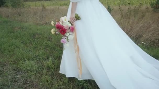 De bruidegom over het veld leidt door de hand de bruid in een chique jurk met een trein en een boeket dahlia 's in haar hand — Stockvideo