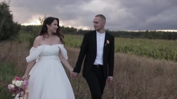 Bruden med en bukett dahlior håller brudgummen handen och de går över fältet tittar in i varandras ögon. Långsamma rörelser — Stockvideo