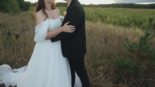 Hermosa joven novia en un vestido elegante con un tren en los brazos del novio en el borde de un campo de maíz — Vídeos de Stock